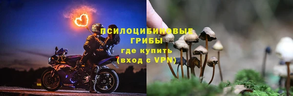 гашик Абдулино