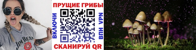 Галлюциногенные грибы мицелий  Хасавюрт 